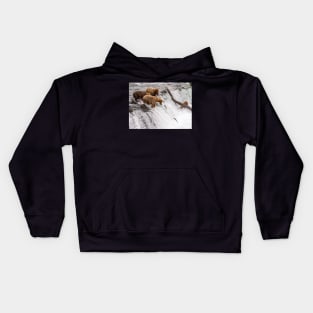 Bearish Frontier Kids Hoodie